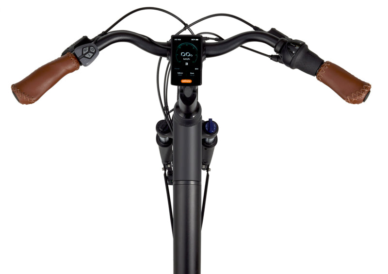 Popal Novel Matzwart MM