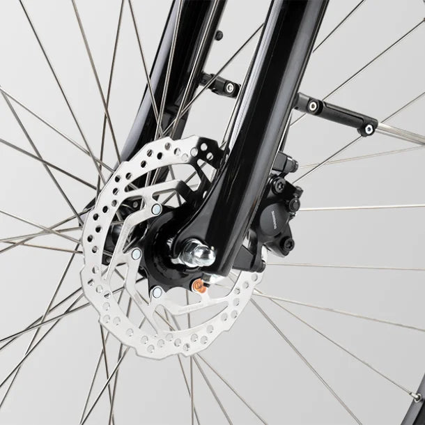 Trenergy Sportive N7