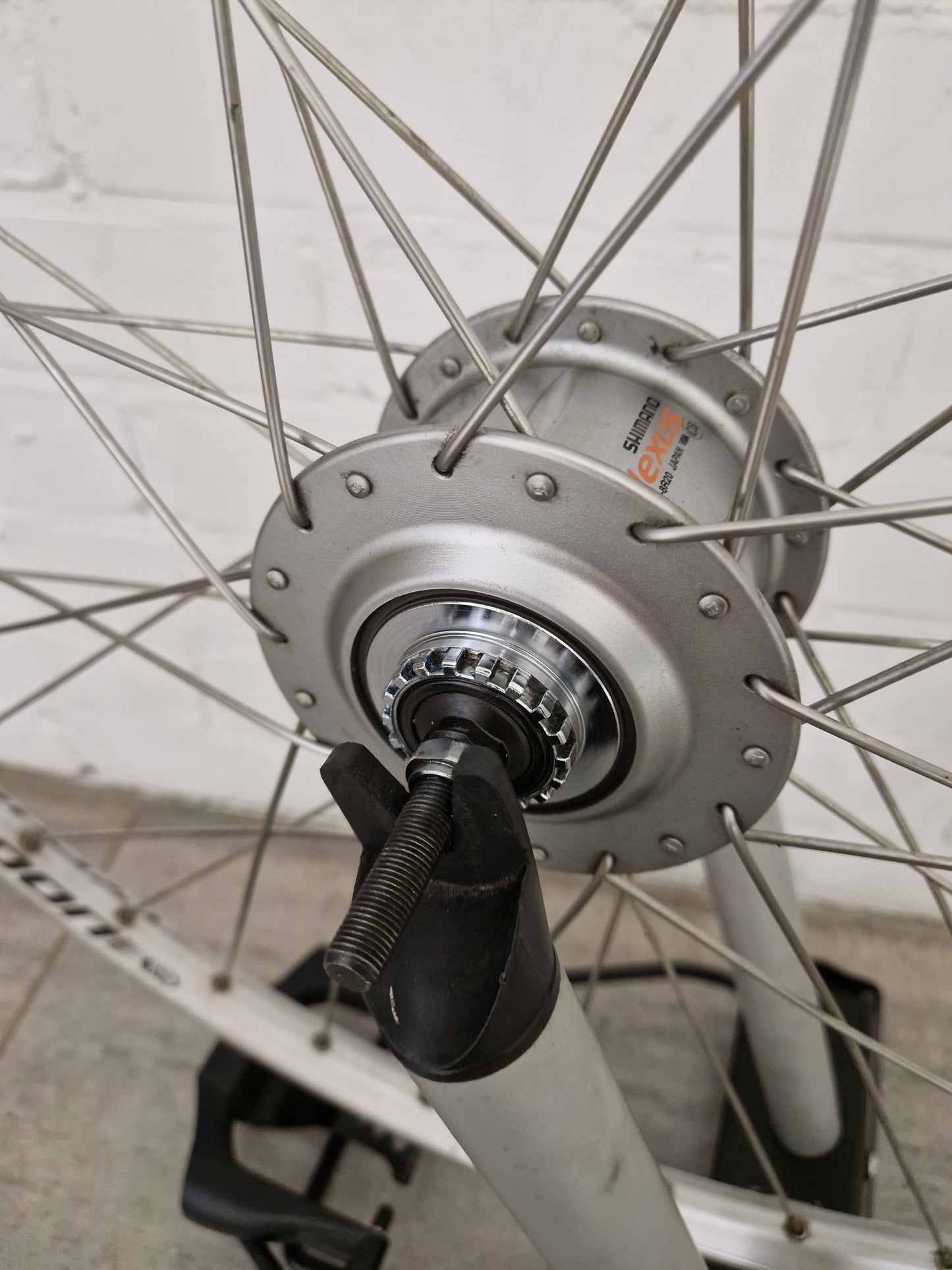 Achterwiel 28 inch Shimano Nexus 8 Gazelle (SG-8R20)