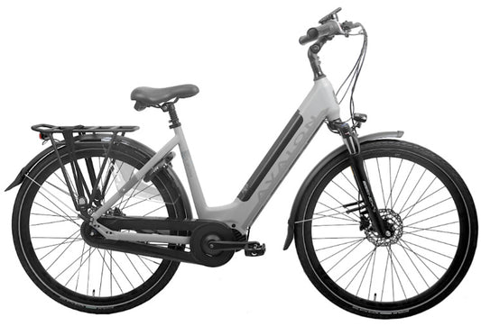 Avalon E-Motive Bafang M300 middenmotor