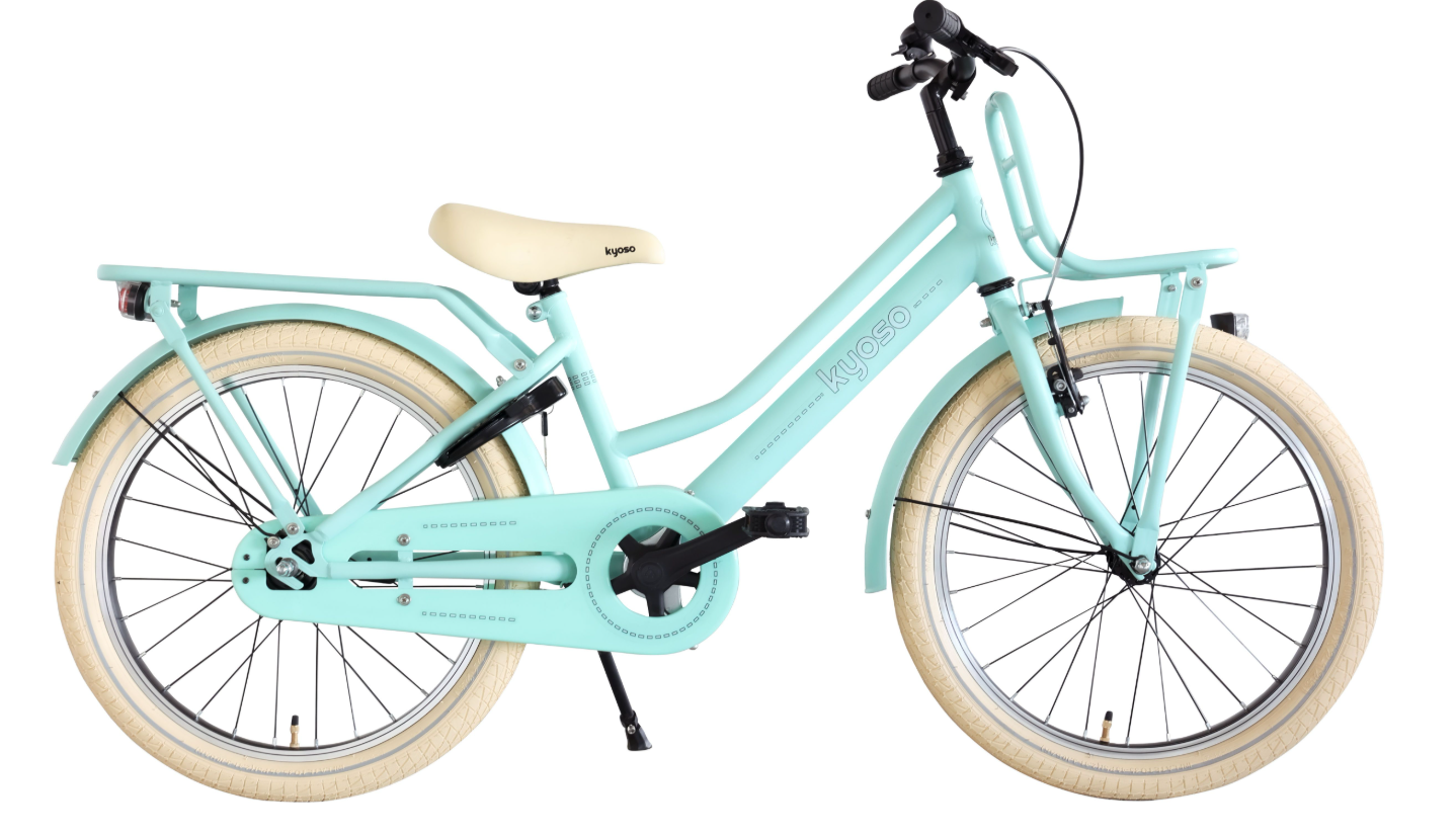 Kyoso Blossom Breeze 20 inch