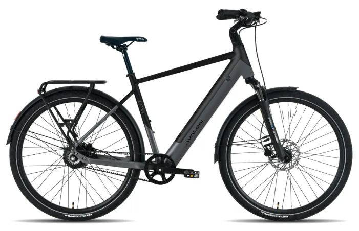 Avalon E-Flow heren