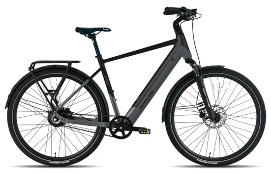 Avalon E-Flow heren