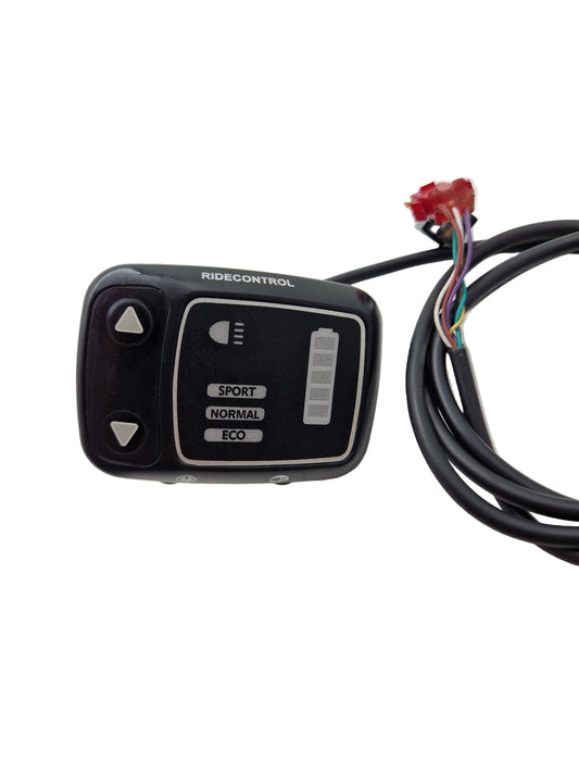 Display Giant Ride Control