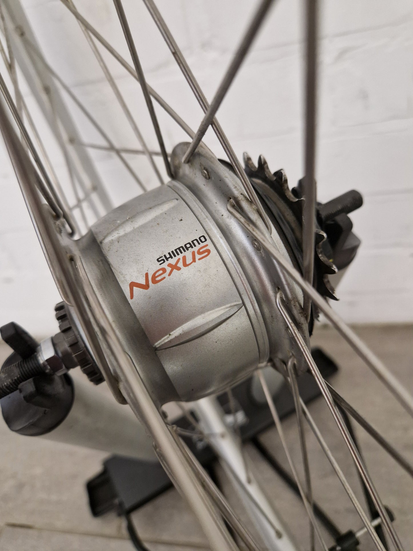 Achterwiel 28 inch Shimano Nexus 8 (SG-8R31)