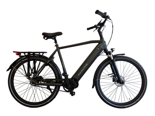 Avalon E-Motive Pro 2025